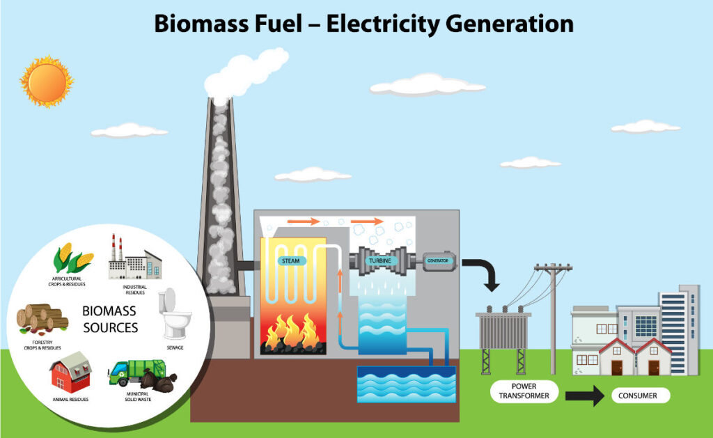 biomass boilers