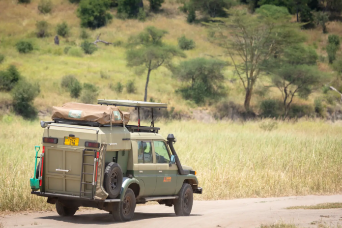 self-drive safari in Tanzania